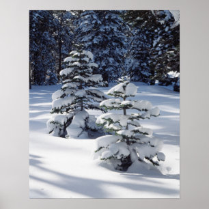 Affiches Californie, Montagnes de la Sierra Nevada 8