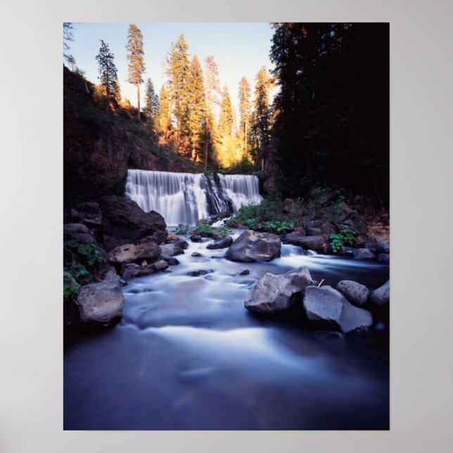 Affiches Californie, Shasta-Trinity National Forest (Devant)