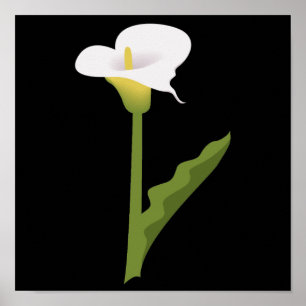 AFFICHES CALLA LILY