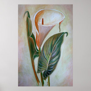 Affiches Calla Lily Beau Art Botanique