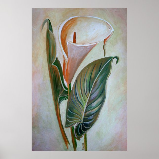 Affiches Calla Lily Beau Art Botanique (Devant)