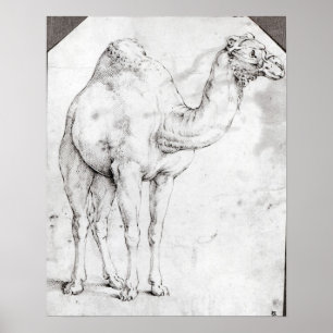 Affiches Camel