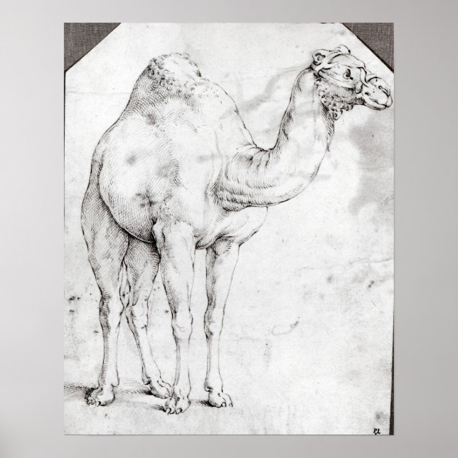 Affiches Camel (Devant)