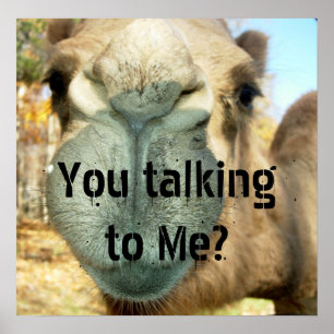 Affiches Camel Face, Tu Me Parles ?