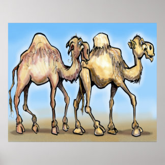 Affiches Camels