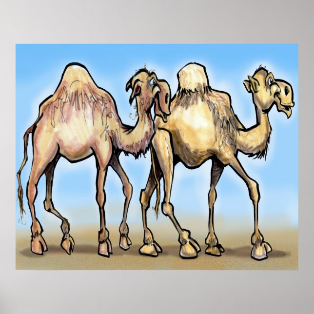 Affiches Camels (Devant)