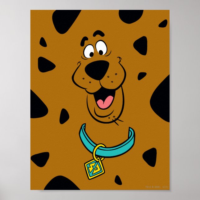 Affiches Camouflage Scooby-Doo (Devant)