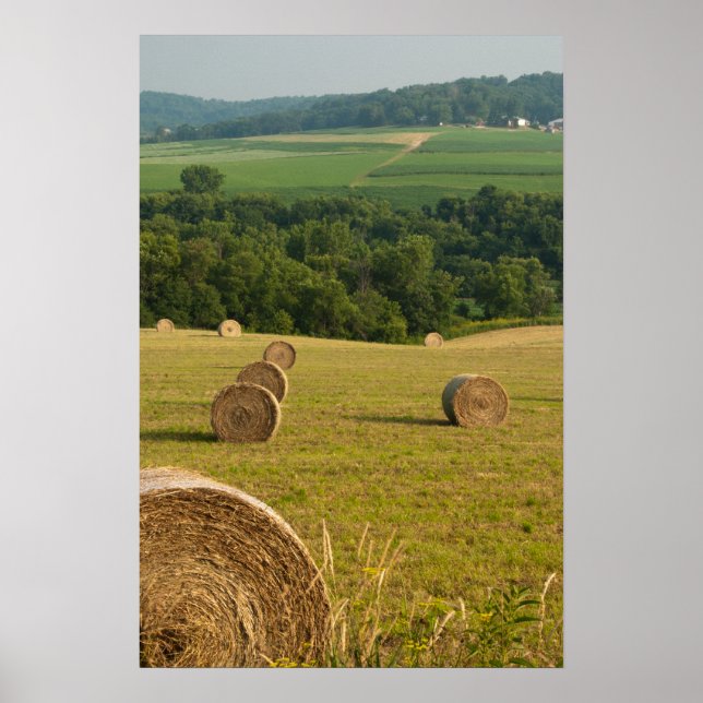 Affiches Campagne Hay Bales (Devant)