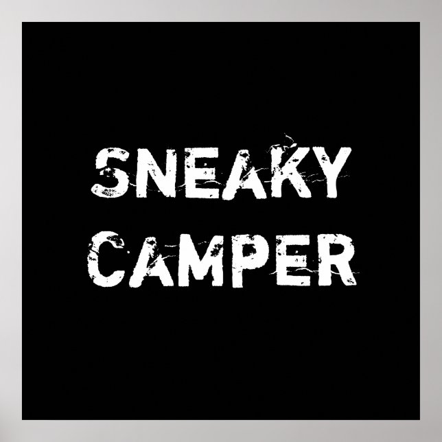 Affiches Camper sournois. Gamer (Devant)