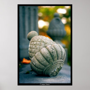 Affiches Campo Santo