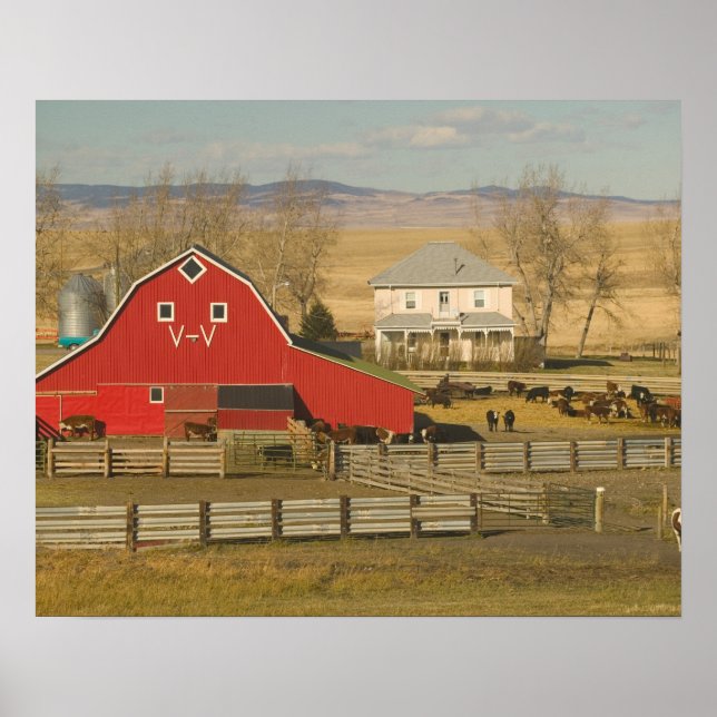 Affiches Canada, Alberta, Pincher Creek : Red Barn & Ranch (Devant)