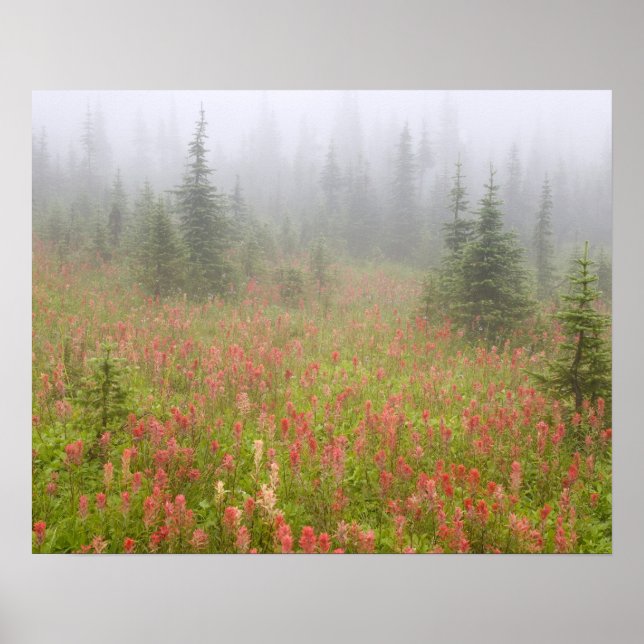 Affiches Canada, Colombie-Britannique, Revelstoke National (Devant)