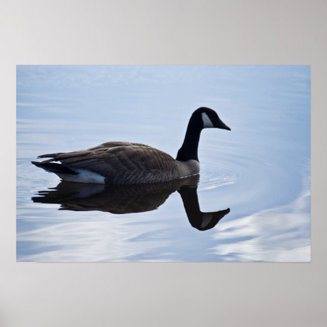 Affiches Canada Goose (Devant)