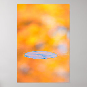 Affiches Canada, Québec  Parc de conservation du Mont St-B