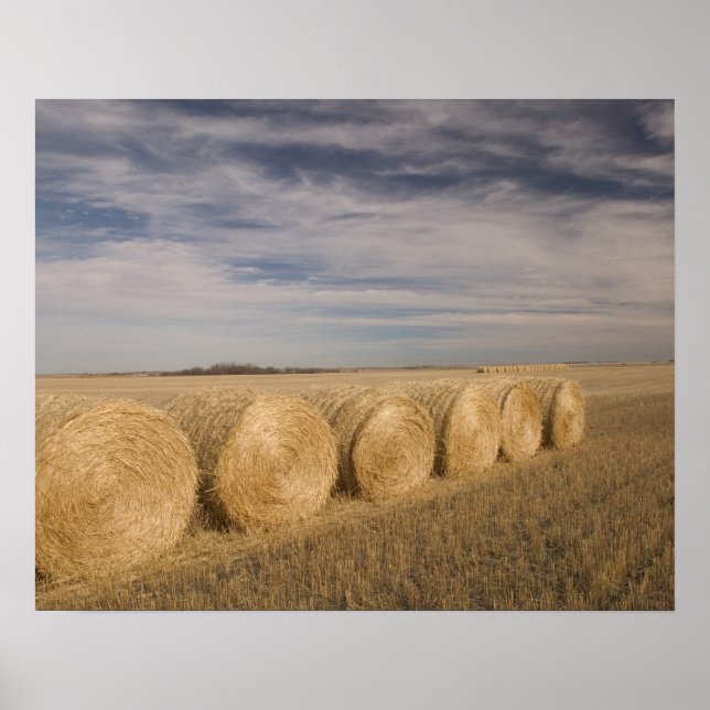 Affiches Canada, Saskatchewan, Craik : Rouleaux de foin / A (Devant)