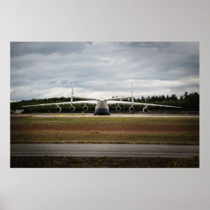 Affiches Canard assis