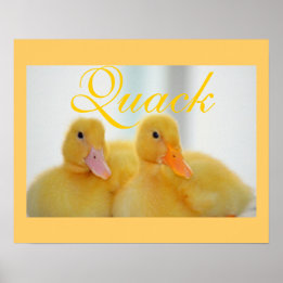 Affiches Canard Oiseau Animal Mignon Poussin Coin‑coin