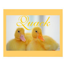 Canard Oiseau Animal Mignon Poussin Coin‑coin