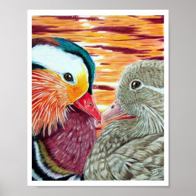 Affiches Canards amoureux (Devant)