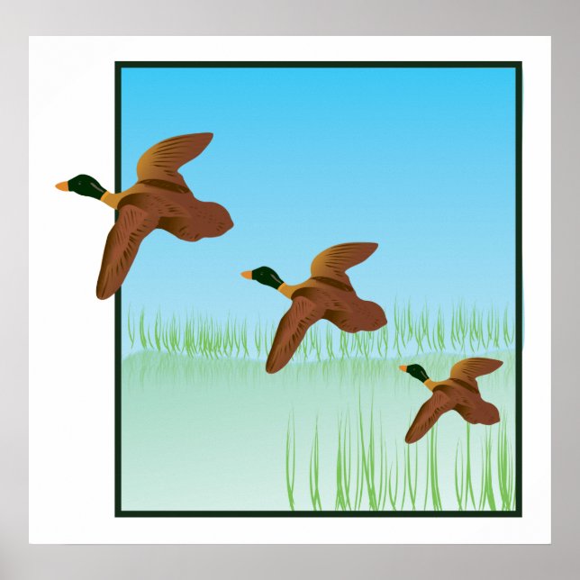Affiches Canards dans un étang (Devant)