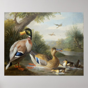 Affiches Canards dans un paysage fluvial