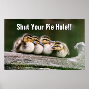 Affiches Canards de bébé