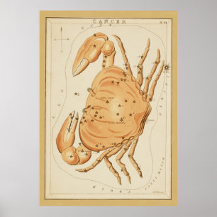 Affiches Cancer du crabe - Signe Vintage de l'image du zodi