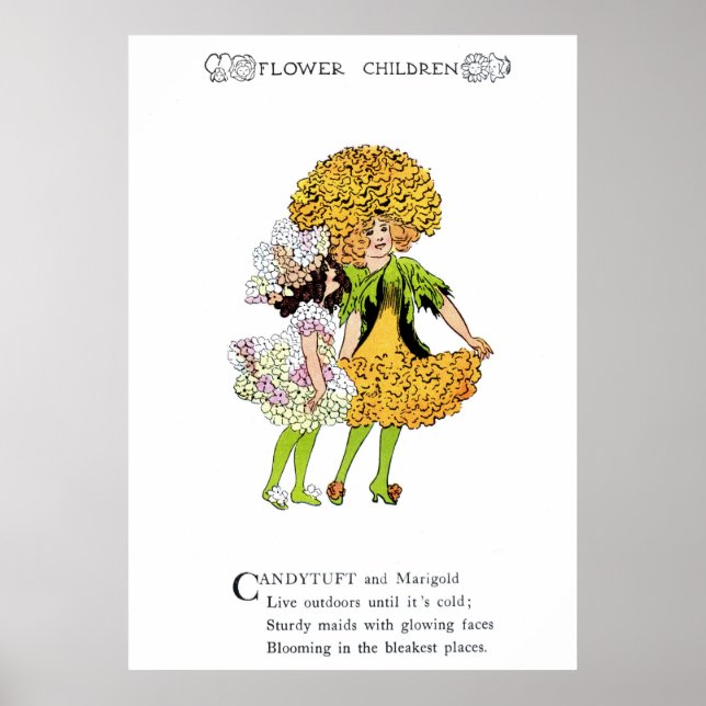 Affiches Candytuft et Marigold (Devant)