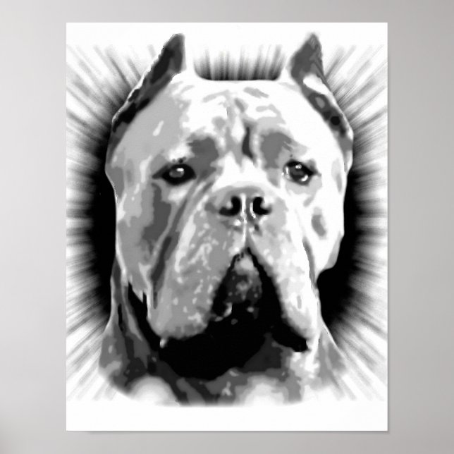 Affiches Cane Corso Dog (Devant)
