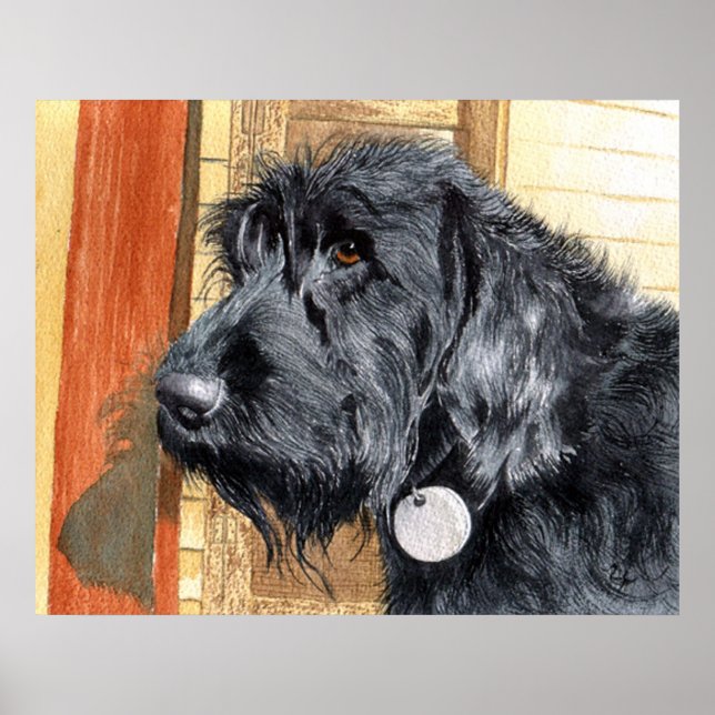 Affiches Canevas de Labradoodé noir n° 1 Imprimer (Devant)
