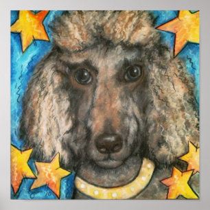 Affiches Caniche snob