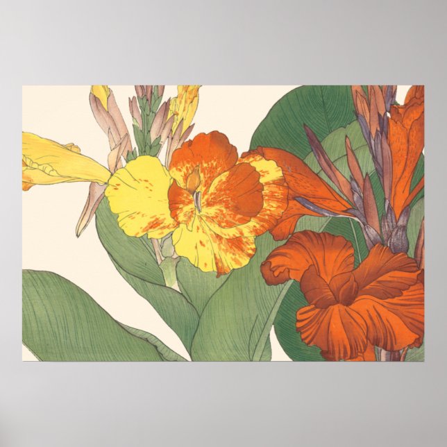 Affiches Canna Lily (Devant)