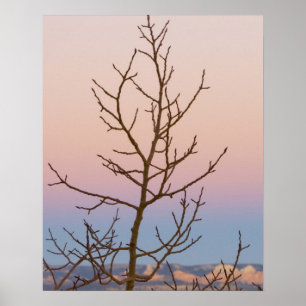 Affiches Canyon de Bryce, Utah. Arbre dénudé devant le couc