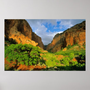 Affiches Canyon Kolob à Zion Canyon dans le parc national d