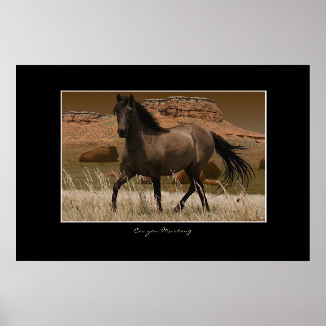 Affiches CANYON MUSTANG Cheval Conservation Art Imprimer (Devant)
