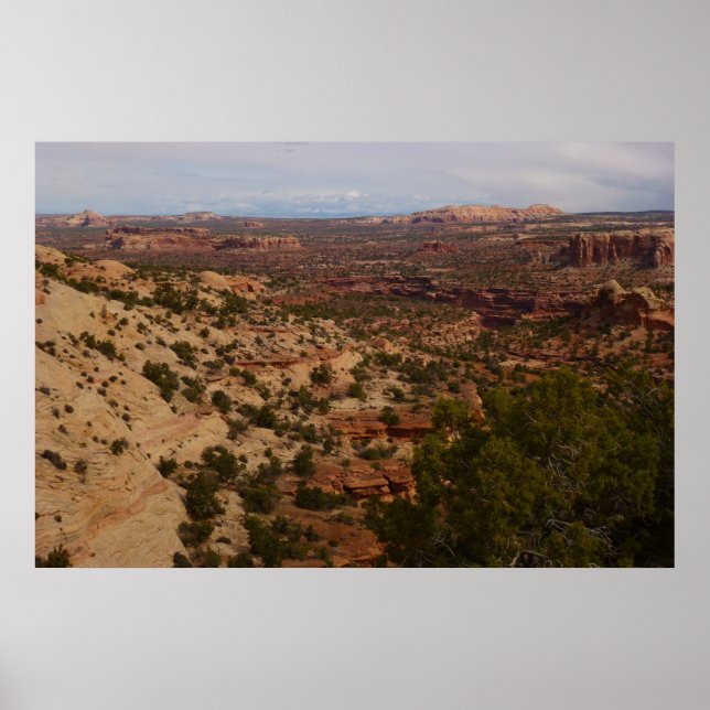 Affiches Canyonlands Vue depuis le sentier Neck Springs (Devant)