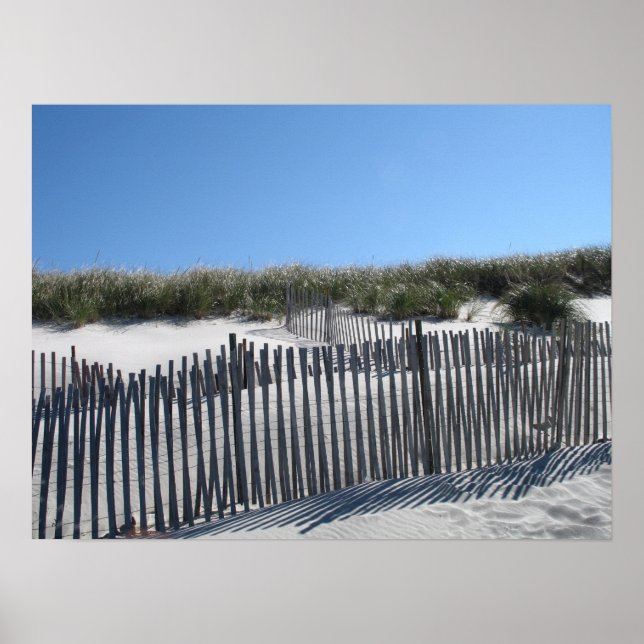 Affiches Cape Cod Beach (Devant)