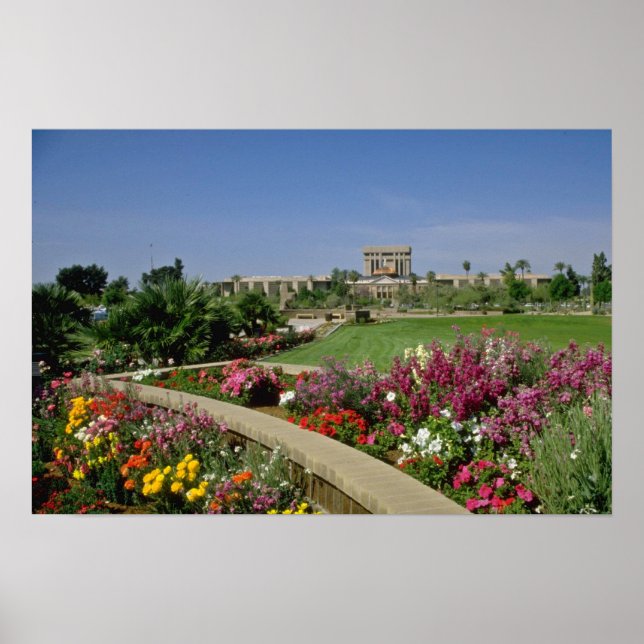 Affiches Capitole d'Etat rose, jardins de fleurs, Phoenix,  (Devant)