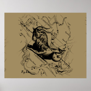 Affiches Capricorn Constellation Hevelius 1690 on Taupe