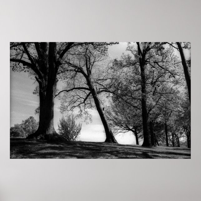 Affiches Capture (Devant)