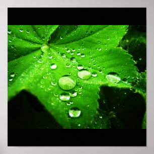 Affiches Capturer la pluie