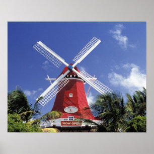 Affiches Caraïbes, Aruba. Vieux Moulin, converti en 'Moulin