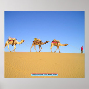 Affiches Caravane en chameau, Désert de Thar, Inde