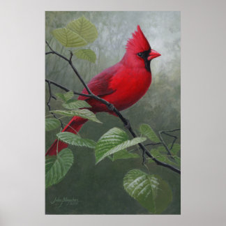 Affiches Cardinal