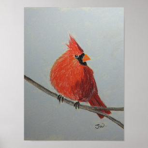 Affiches Cardinal Rouge à la Branche de Pastels
