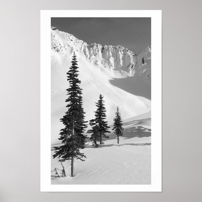 Affiches Cariboos : Petite diapositive (Devant)