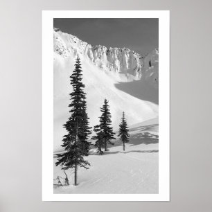 Affiches Cariboos : Petite glissière