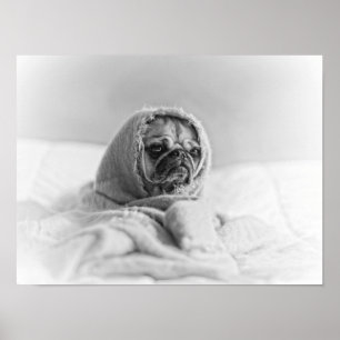 Affiches Carlin de mère patrie