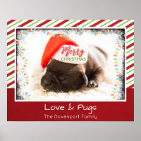 Carlin de Noël à Santa Hat avec lumières de Noël