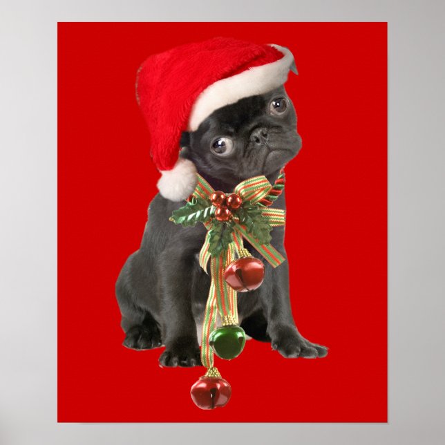Affiches Carlin noir chiot Portrait de Noël (Devant)